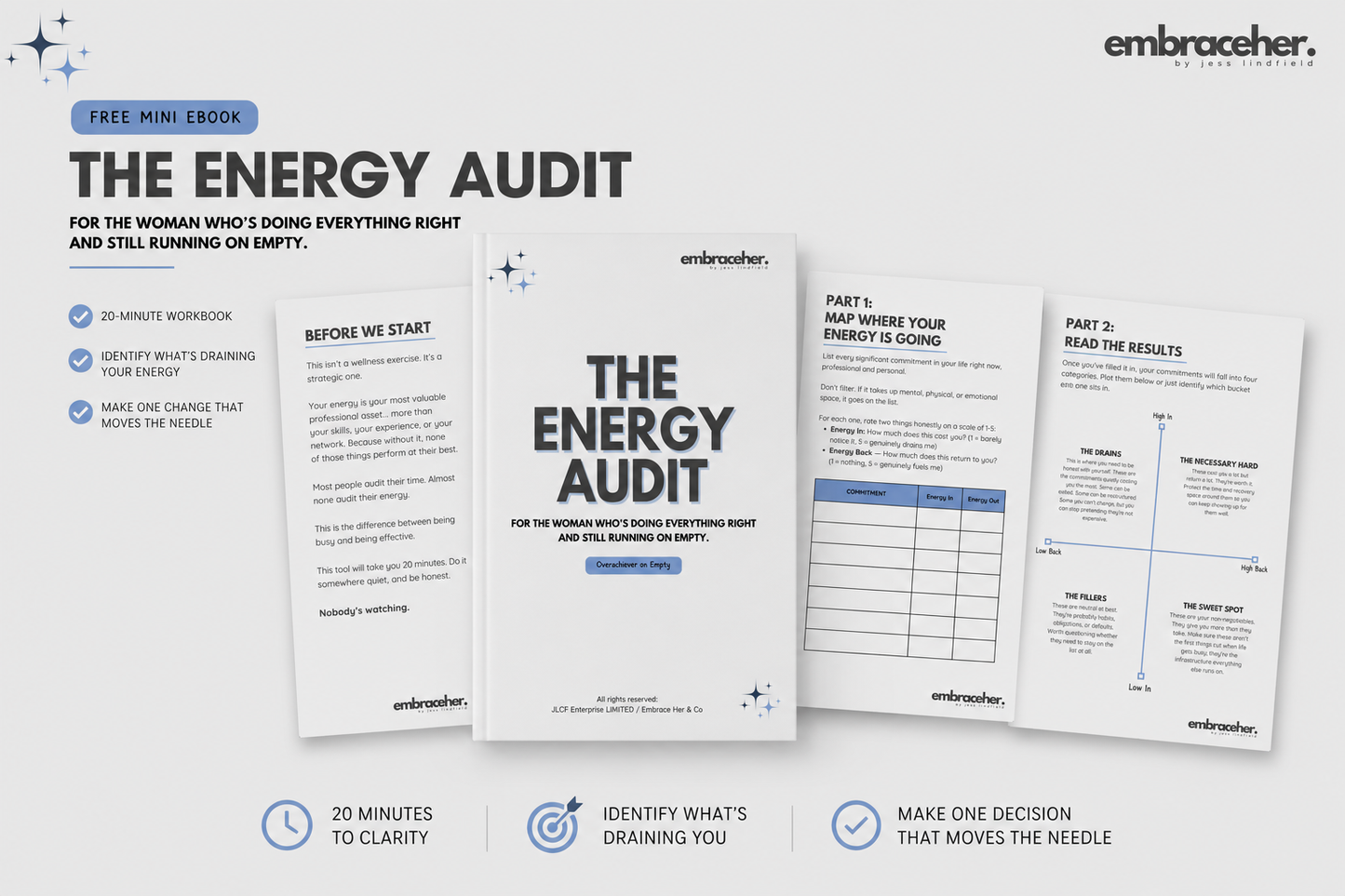 THE ENERGY AUDIT